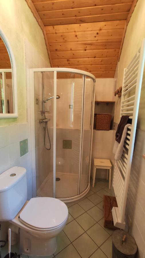 Вилла La Grange St. Cyprien, Venosc - Les Deux Alpes Экстерьер фото